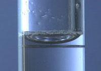 Meniscus Water is attracted to the Glass, thus curves up the