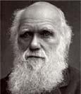 Theories of Evolution Darwin s Travels Charles Darwin and Alfred Russle Wallace, 1850s