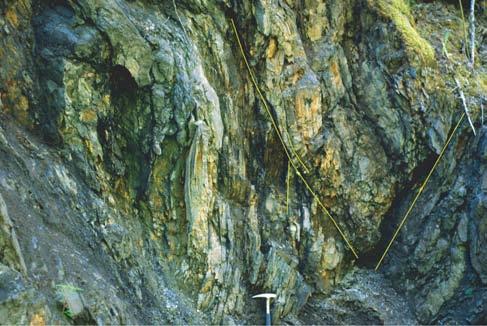 Fra ser River, 6 km south of Quesnel (Fig - ure 15; Rouse and Mathews, 1979). Fig ure 13. Small-scale faults in the dark banded phyllite (Dragon Moun tain suc ces sion).