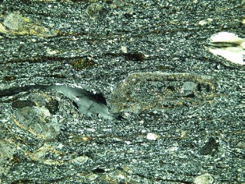 METAMORPHISM Phyllite in the north east ern part of the area (Black pelite suc ces sion) and close to the Quesnel River (dark banded phyllite) has chlorite+mus co vite+quartz+plagio - clase as sem