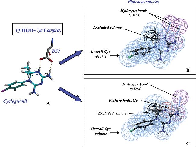 Relationship to Drug Design Ligand-based design QSAR Pharmacophore modeling Can be done without 3-D structure of protein Receptor/Structure-based design