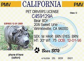 Oblivious Attribute Certificates (OACerts) California Driver License California Driver License Expired: 04-11-06 Expired: 04-11-06 Name: Bear Boy DoB: 12-01-96 Address: 206 Sweet Rd Sex: M