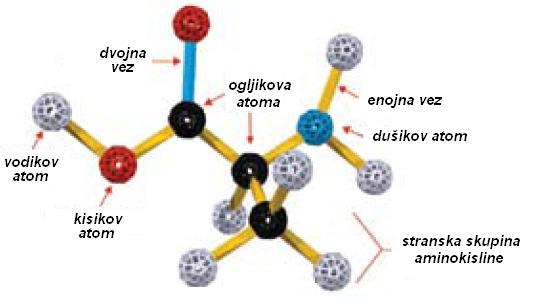 Hitri začetek. 1. Dobro si oglej model molekule na karti. 2. Poišči sestavne dele (kroglice in paličice), ki jih potrebuješ za gradnjo modela molekule (označeno pod molekulsko formulo spojine). 3.
