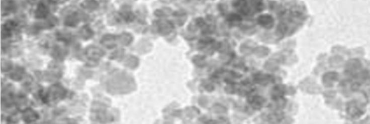 Thermogravimetric analyses were carried out on a TGA/SDTA 851e Mettler Toledo balance. Transmission Electron Microscopy (TEM) images were obtained with a Philips CM10 that operated at 20 KeV.
