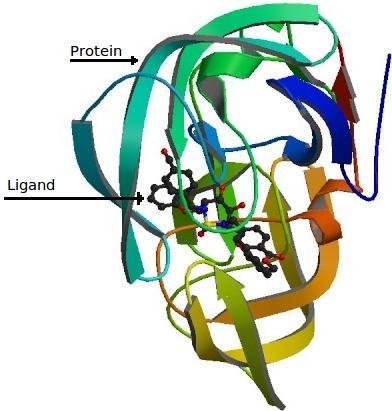 protease in complex with inhibitor AHA024 [9]. 1.