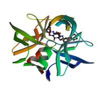 Protein-ligand complexes from PDB PDB key