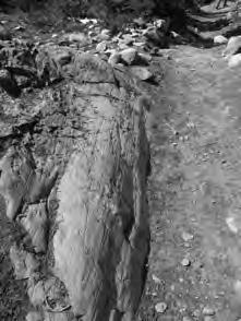 faulting on boundary: