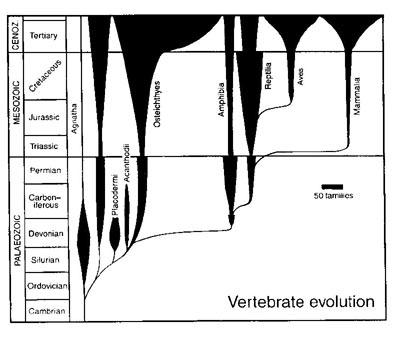 The coordination problem Benton, M. J. (1998). The quality of the fossil record of the vertebrates. The adequacy of the fossil record. Wiley, Chichester, UK, 269 303.