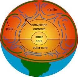 Plates may contain both crust and crust. 15. The Earth s plates move at a rate of about per year. 16.