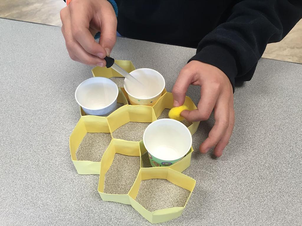 54 The Bee Cause Project ASSESSMENT/REFLECTION: Ask students to fan the cups of nectar to