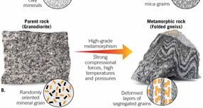 sedimentary, or other metamorphic rocks What  Metamorphic Grade Metamorphic grade is the degree to which