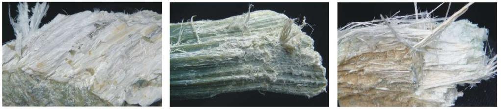 amosite crocidolite white asbestos blue