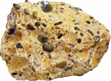Classification of Sedimentary Rocks Two Main Groups 1.