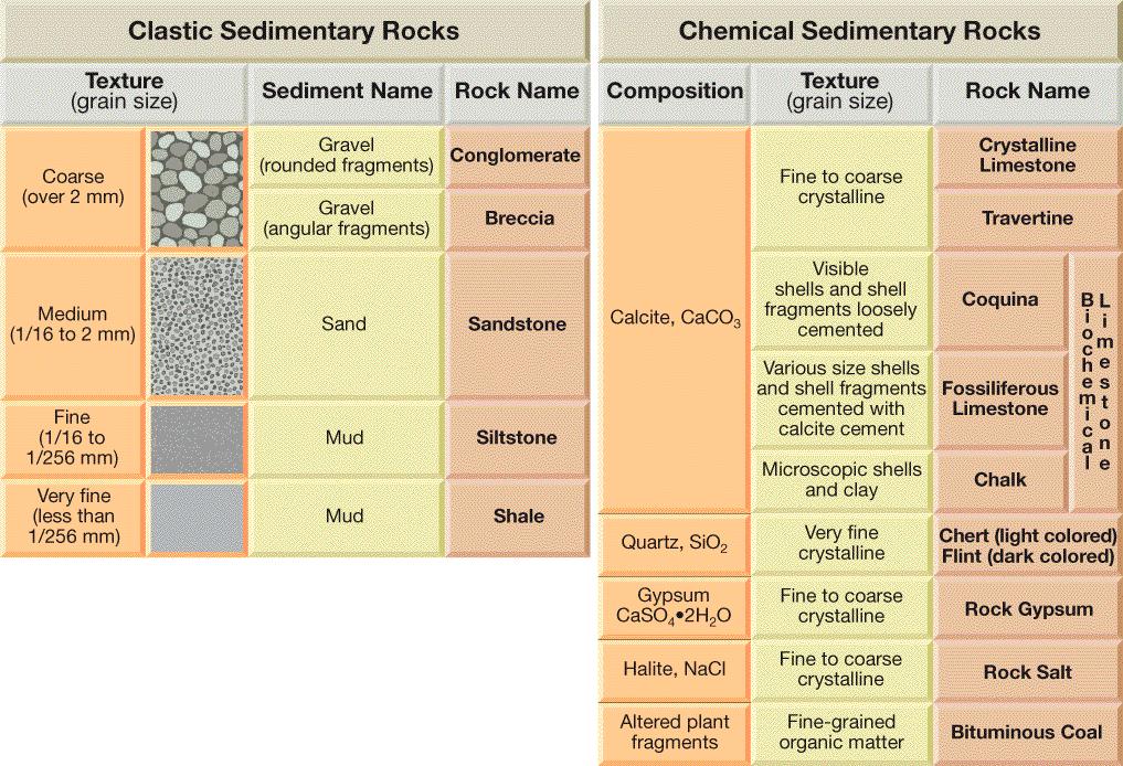 Classification of Sedimentary Rocks III. Features of Some Sedimentary Rocks Features of sedimentary rocks are clues to how and where the rocks are formed I.