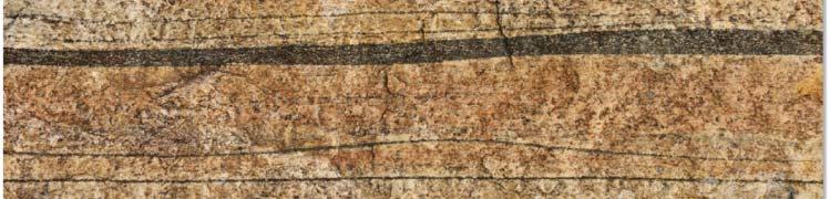 metamorphic rock with a banded