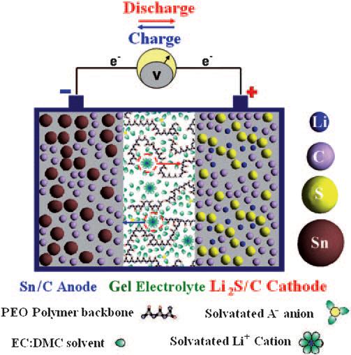 2.3.1 PEO-Based Gel Polymer Electrolyte Fig 2.4 Sketch of the Sn/C/CGPE/Li 2 S/C polymer battery developed herein.