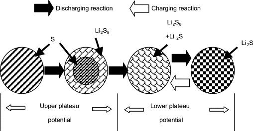 A detailed discussion regarding the discharge process of Li/PVDF/S was presented by Ryu et al. [76].
