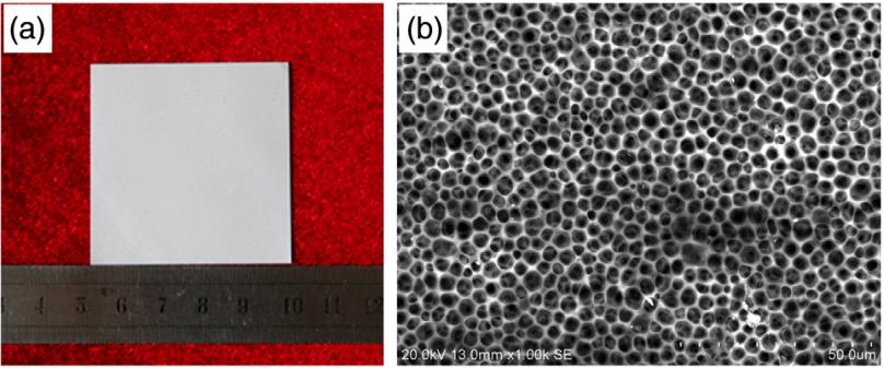 Fig 2.8 Photograph (a) and SEM image (b) of P(VDF-HFP) membrane. Reprinted from Ref. 81 with permission from Elsevier.