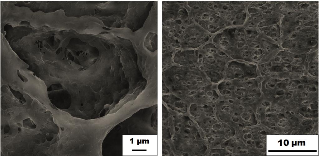 The SEM data in Fig. 3.4 shows that there is no apparent morphology difference between the KB (Fig. 3.4a) and the S/KB composite (Fig. 3.4b) containing 43 wt% sulfur (measured by chemical analysis).