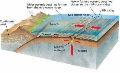 Subduct (Verb) When a tectonic plate moves under another tectonic plate and create a subduction zone.