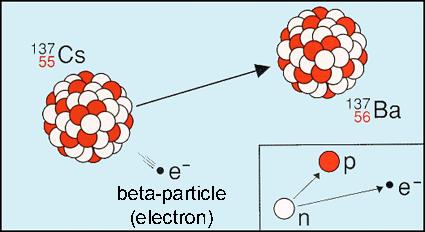 Beta Emission: e- emitted from the nucleus as a beta particle Ex: 137 55 1 0 Cs n 137