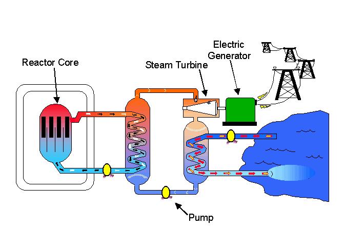 *Harnessing Fission: A nuclear power plant* Nuclear PP utilize the energy released in a controlled fission reaction in the core to heat water in one pipe The heat then vaporizes water in another pipe
