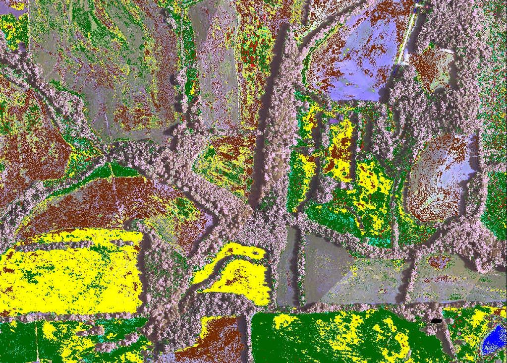 Thus, the spectral signature of high spatial and spectral resolution remotely sensed image data alone cannot accomplish evaluation of water, wetland, and associated vegetation.