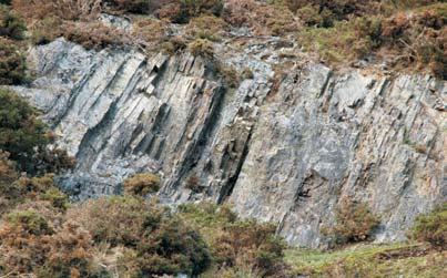 There is a wealth of local geological information on the website of the Shropshire Geological Society - www.shropshiregeology.org.