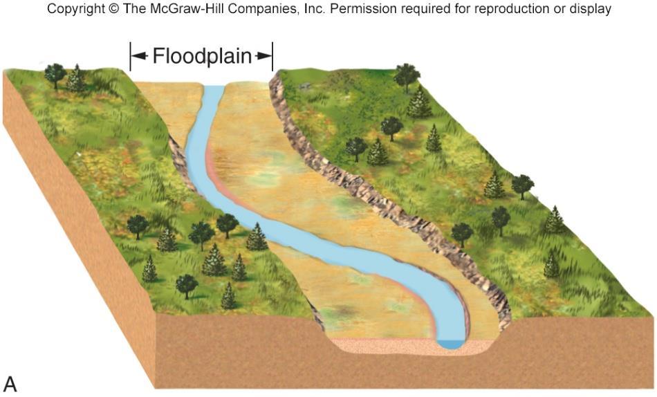 Channel and Floodplain Evolution Oxbows: meanders don t broaden or enlarge indefinitely.