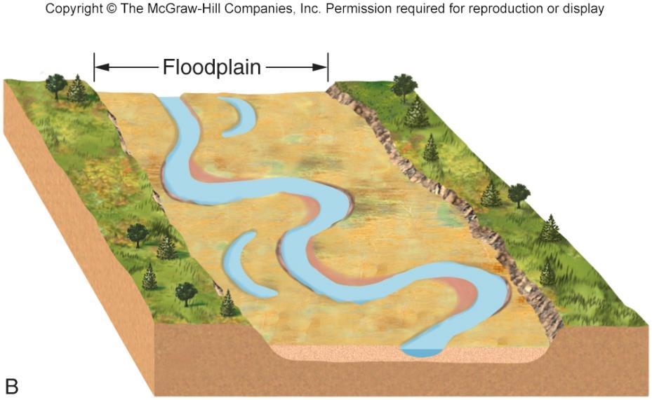 downstream route Floodplain: a broad, fairly flat expanse of land covered with sediment around the
