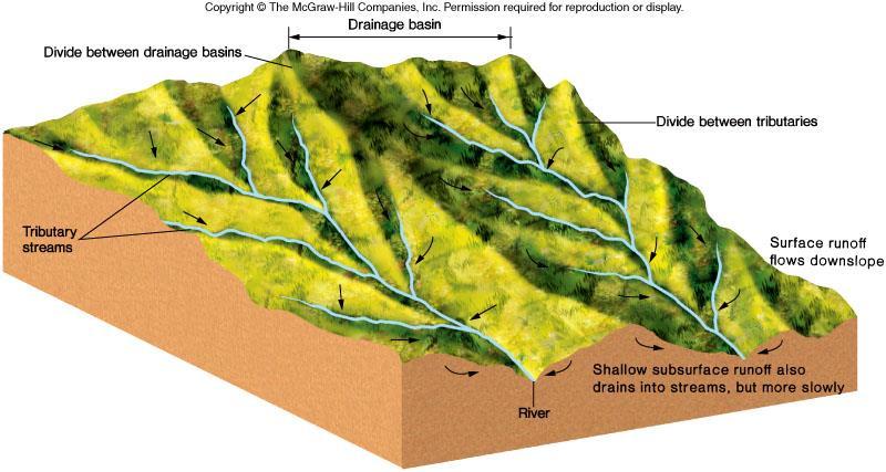 Streams and their Features Stream: a flowing water within a channel Drainage basin: a region from which a stream draws water The