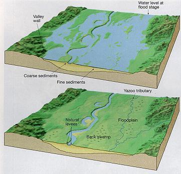 Floodplain A wide, level area that borders a