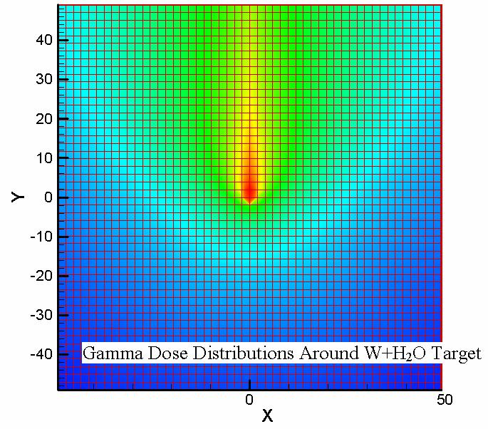 Simulation of expected γ and n dose Screening by