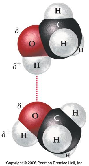 Hydrogen Bonding Molecules that have HF, -OH or -NH groups have particularly strong intermolecular
