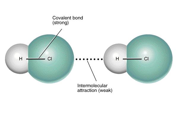 Examples include: Metallic bonds Covalent bonds The forces acting between particles are referred to as interparticle bonding.