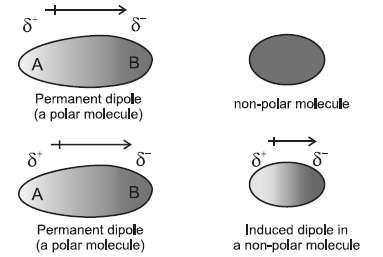 induced dipole is developed in the other molecule. 4.