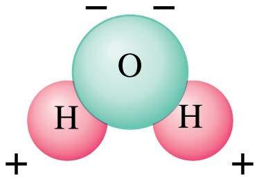 16-2 Electric Charge in the Atom Polar molecule:
