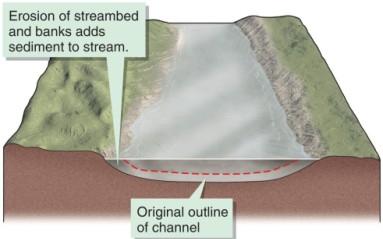 streams procure sediment.