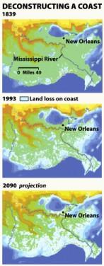 Erosion of the Mississippi Delta Building of artificial levees, dams, etc.