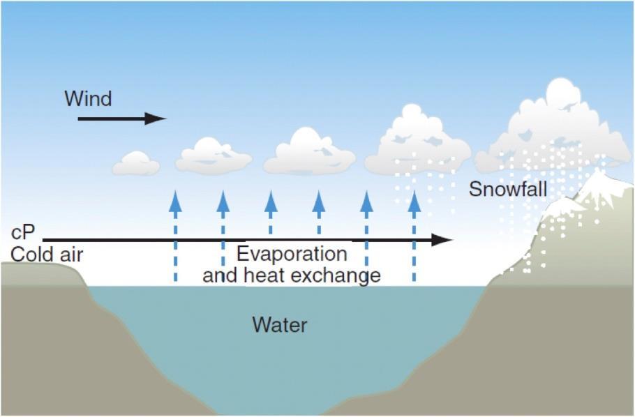 snowstorms A cooler lake in the summer moderates temperatures Lakes and oceans prevent