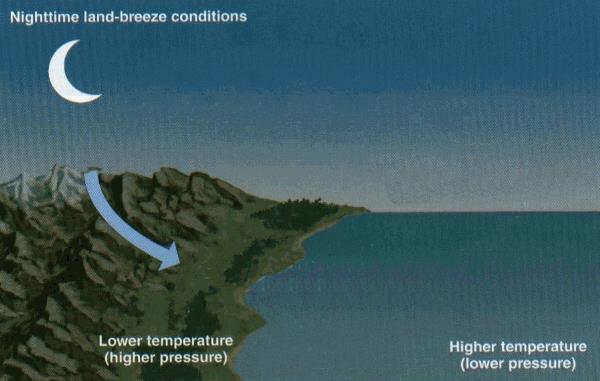 The specific heat of water impacts daily weather changes such as land and sea breezes Cooler, denser air blows onshore during the day after being cooled by the water (sea breeze) At night, air