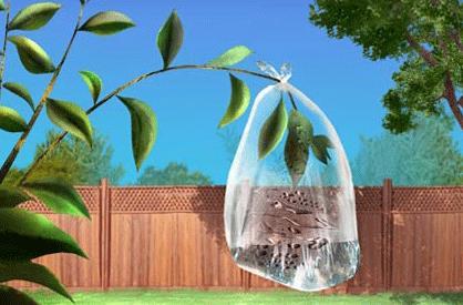 Another source of water vapor is through the process of transpiration.