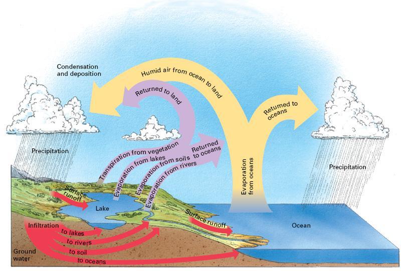 IG4e_15_01 The Hydrologic Cycle