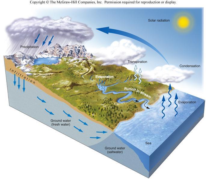 Hydrologic Cycle Hydrologic cycle - the movement and interchange of water between the sea, air, and land Precipitation Rain or snow Evaporation