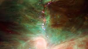 Life Cycle of a Star Vocabulary Protostar Inside the nebula are regions of greater and less gravity causing the gas and dust to pull together.