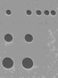 (mirrored) 2 µm 500