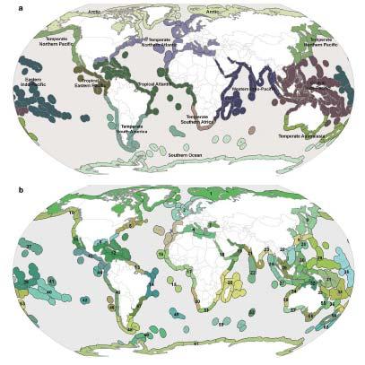 Global Biogeographic Framework Biogeographic Realms (12)