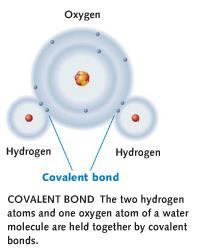 Bonding of Atoms -Substances consisting of only one element are called.