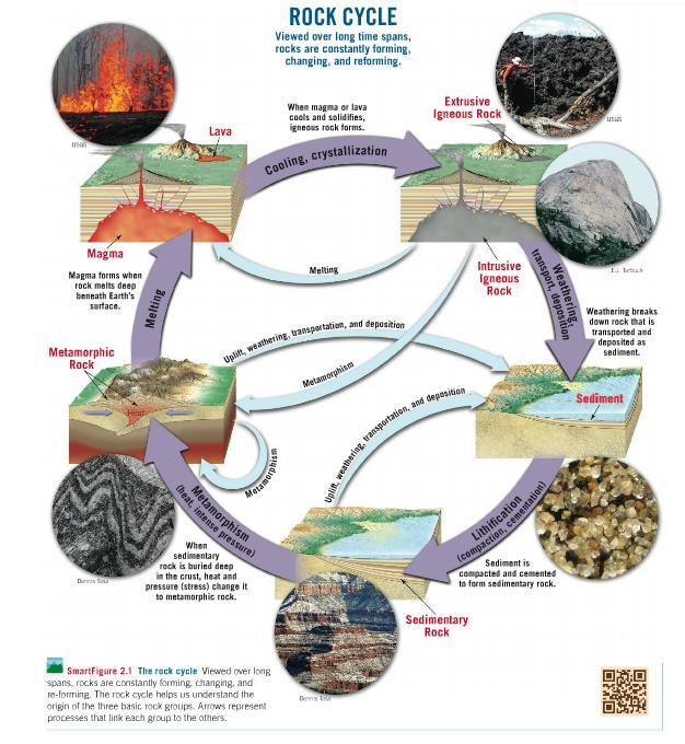 Earth Science 11: Earth Materials, Rock Cycle Purpose: Text Pages: Describe the formation of igneous, sedimentary and metamorphic rocks and understand their positions within the