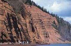 Clastic Sedimentary Rocks Formed from the abundant deposits of loose sediments that accumulate on the Earth